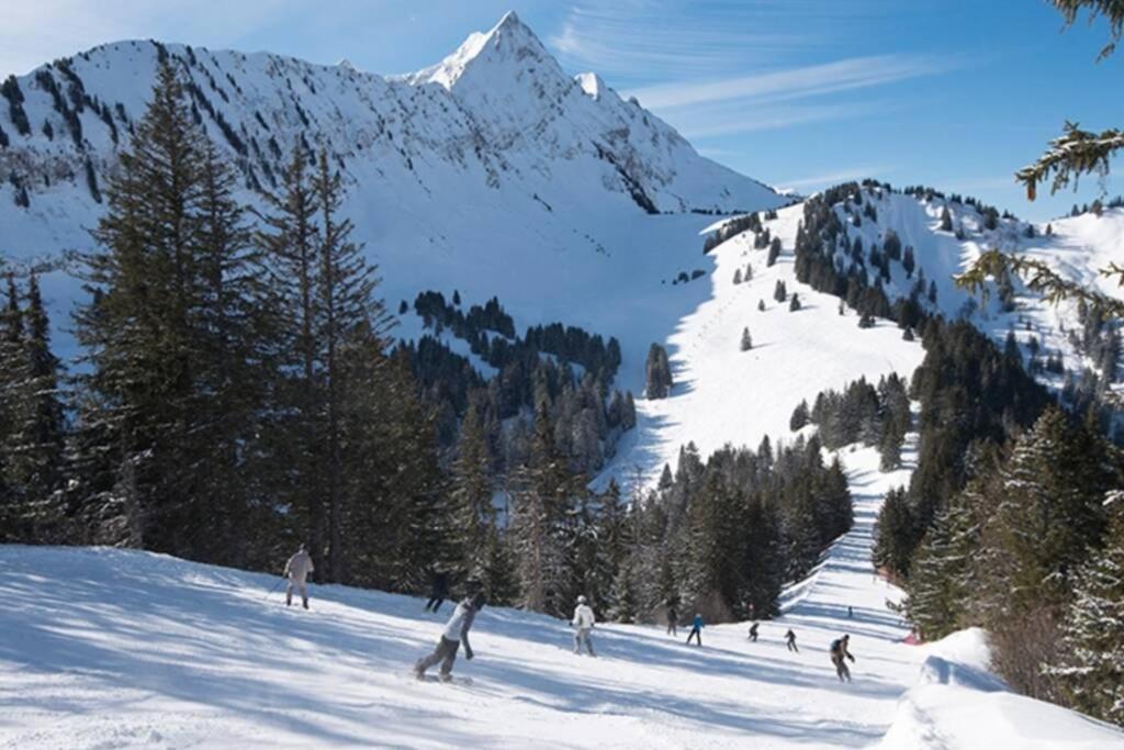 Le Relai S34 - Grand Et Lumineux Studio Avec Coin Montagne 4-6 Pers Avec Wifi, 50M Des Pistes, Grand Balcon Expose Sud, Draps Non Compris Saint-Jean-dʼAulps Exteriér fotografie