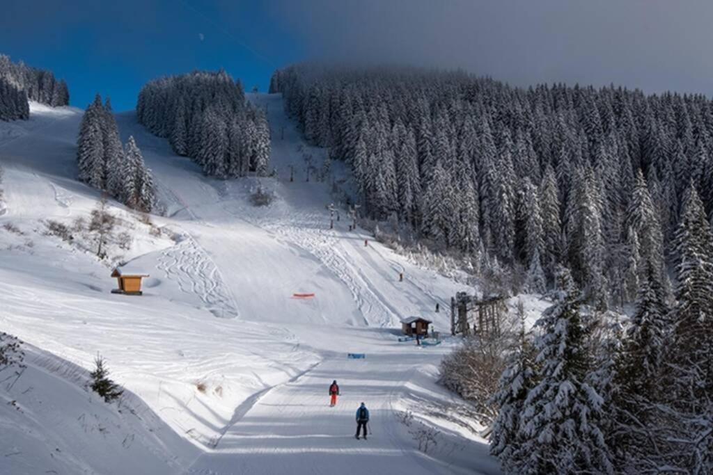 Le Relai S34 - Grand Et Lumineux Studio Avec Coin Montagne 4-6 Pers Avec Wifi, 50M Des Pistes, Grand Balcon Expose Sud, Draps Non Compris Saint-Jean-dʼAulps Exteriér fotografie